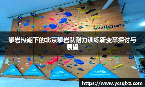 攀岩热潮下的北京攀岩队耐力训练新变革探讨与展望